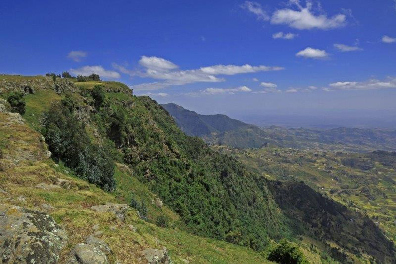 The geography of Ethiopia is dominated by the great African Rift Valley, and we begin our birding on the very edge of the escarpment.